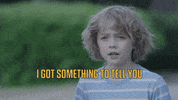 TheAvenue_Film tiger zoo tigers tiger rising GIF