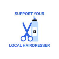 Hair Color Beauty Sticker by SumUp