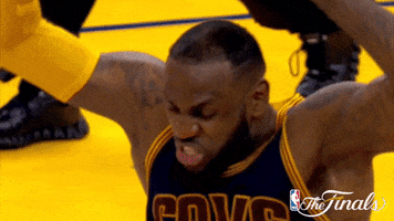 lebron james GIF by NBA