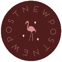 Stars Flamingo Sticker by Helm Design Studio