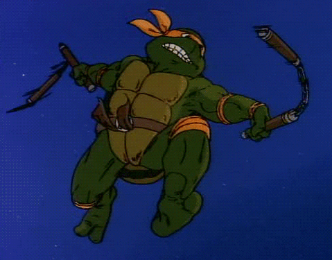 teenage mutant ninja turtles GIF