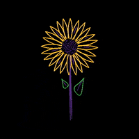 walofestival music flower festival musicfestival GIF