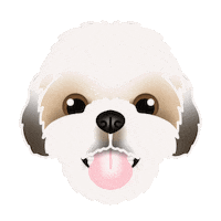 Discount Code Sticker by zoopeez