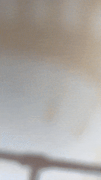 Gamer Mono GIF by Youtooz