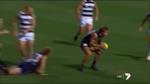 tomfreo giphyupload GIF