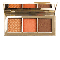 Face Palette Sticker by UP COSMETICS