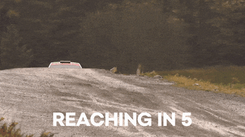 Driving Race Cars GIF by SKODA India