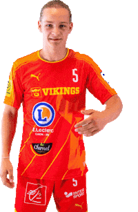 Handball Proligue Sticker by Flou Artistik
