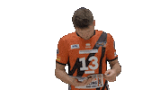 Volleyball Berlin Sticker by BR Volleys