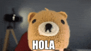 Fiesta Saludo GIF