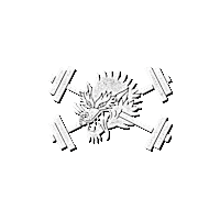 Tst Sticker by teamsoul
