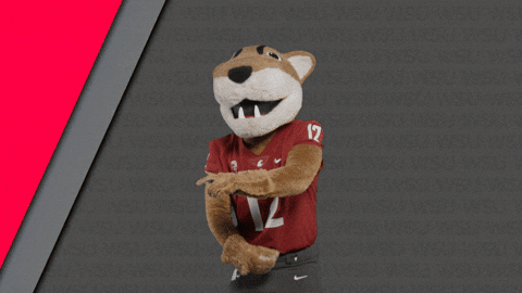 Washington State Go Cougs GIF by WSU Pullman