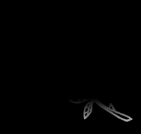 lxvestudios alchemy alchemy rose lxve alchemy enter the alchemy GIF