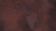 Short Film No GIF by Red Giant