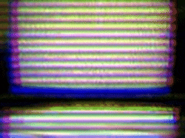 Vintage GIF by jorgemariozuleta