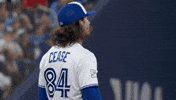 Blue Jays Win GIF by Toronto Blue Jays