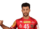 HandballAustria handball ohb handball austria eric damböck Sticker