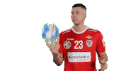 Handball_Austria aut ohb belos nemanja Sticker