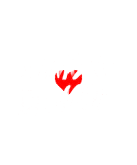 namorodemode Sticker by mariaceciliaerodolfo