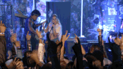 lady gaga GIF
