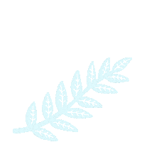 Deco Miss Estampas Sticker