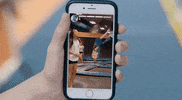 jake paul GIF by Dynamite Dylan