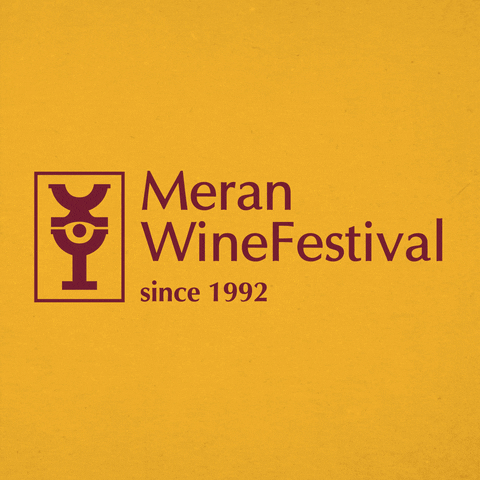 The_WineHunter wine 29 excellence merano GIF