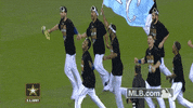 kc GIF by MLB