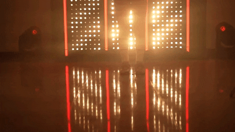 Utah Utes Softball GIF by NCAA Championships