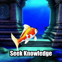 Wisdom Secrets GIF by TheConfishius