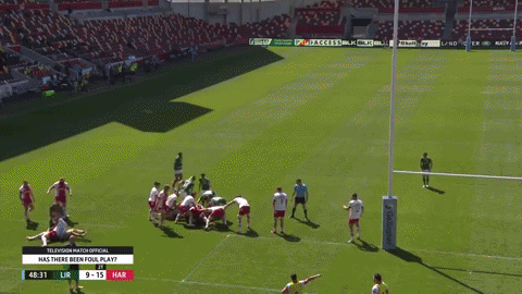 crlew giphygifmaker GIF