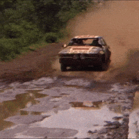 Friday Weekend GIF by FIA World Rally Championship