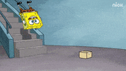 Nickelodeon GIF by SpongeBob SquarePants
