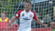 wswanderersfc reaction football celebration goal GIF