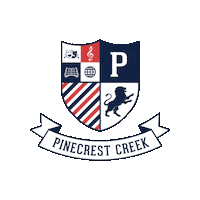 Lions Sticker by Academica