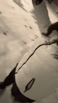 Snow Freezing GIF