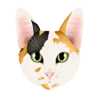 Kora The Cat Sticker by zoopeez