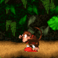 1jps gaming 90s snes dk GIF
