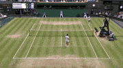 Grand Slam Sport GIF by Wimbledon