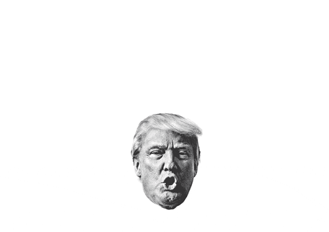 Trump GIF by TINA - This Is Not America