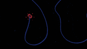 classical music animation GIF by Pierre-Julien Fieux
