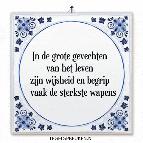 Respect Wijsheid GIF by Tegelspreuken.nl