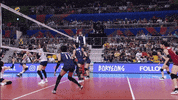 Take That Wow GIF by Volleyball World