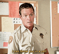 teen wolf sheriff stilinski GIF by mtv