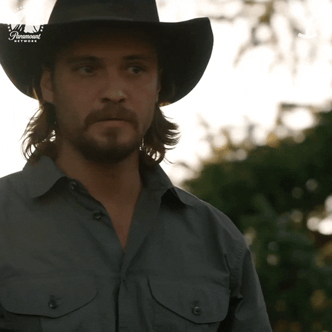 Sorry Luke Grimes GIF by Yellowstone