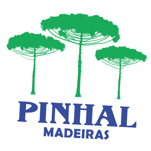 pinhalmadeiras giphyupload obra bomdia projeto Sticker