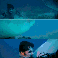 lucio fulci horror GIF by Shudder