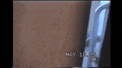 GIF by AFV Babies