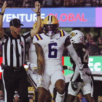 College Football Dancing GIF by LSU Tigers