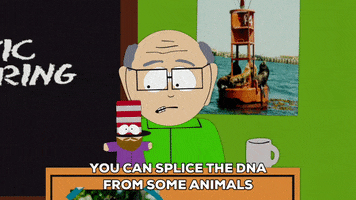 teacher class GIF by South Park 